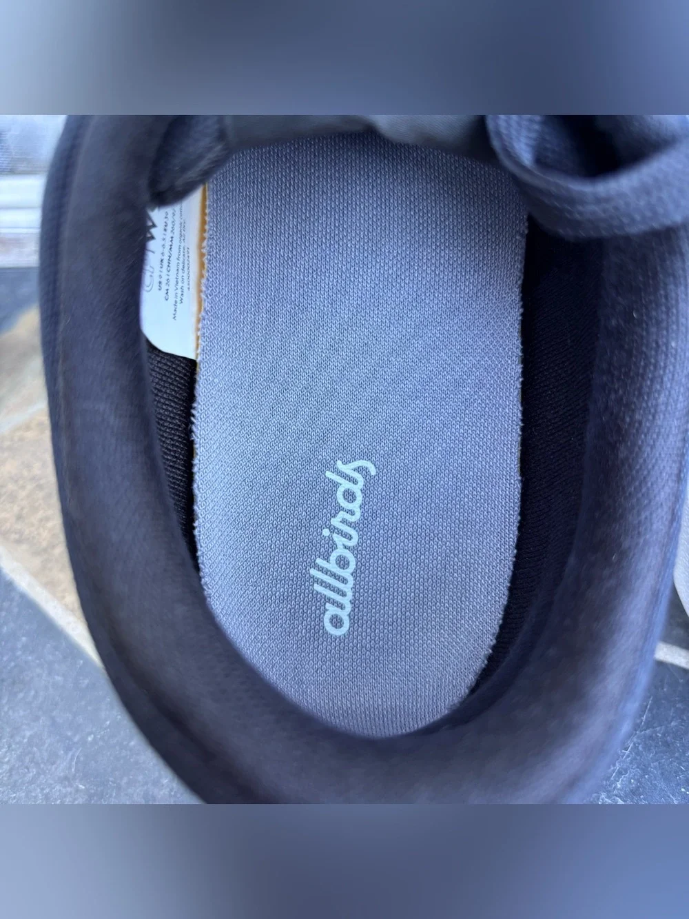 Allbirds Canvas Pacer Sneakers in Black